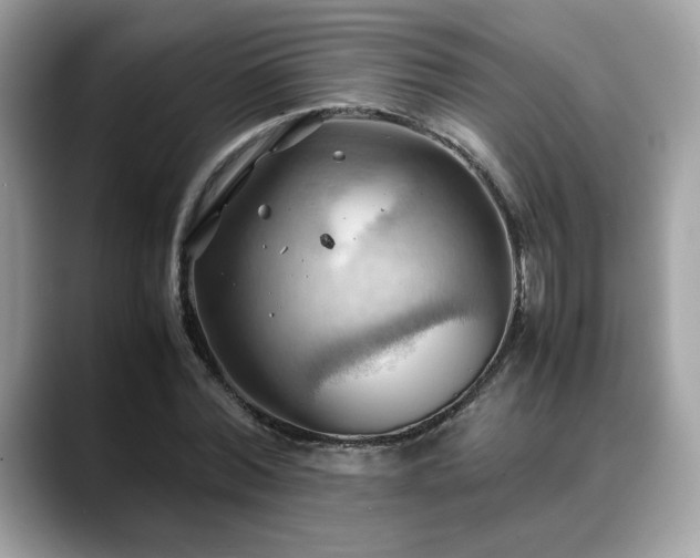 X0000088740780200705311446