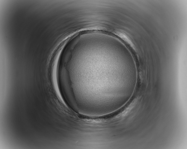 X0000088740781200705311446
