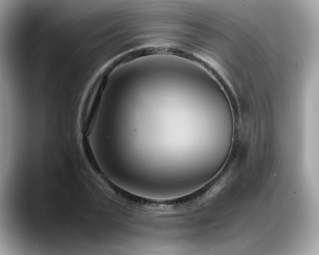 X0000088740783200705311446