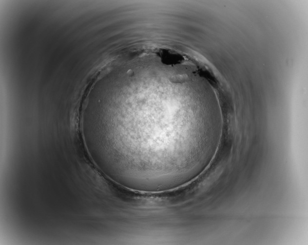 X0000088740785200705311446