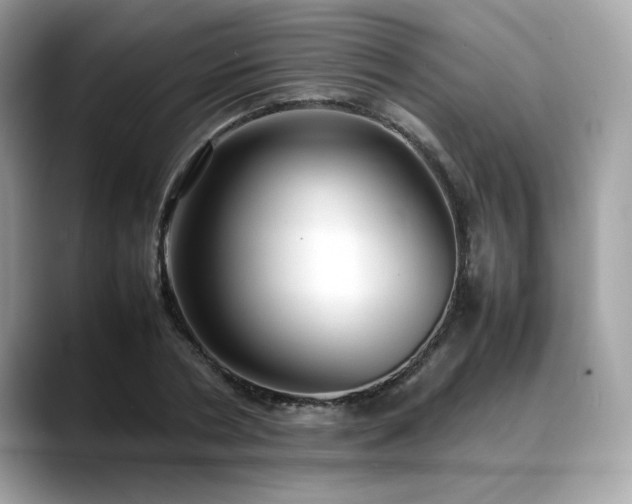 X0000088740786200705311446