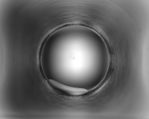 X0000088740789200705311446