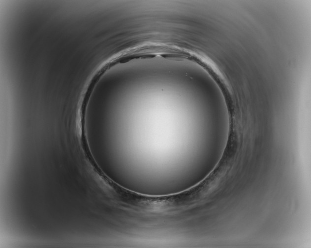 X0000088740791200705311446