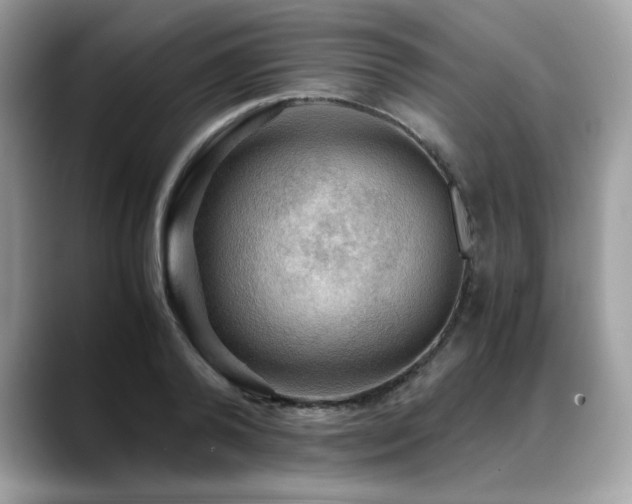 X0000088740792200705311446