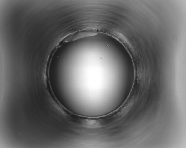 X0000088740794200705311446