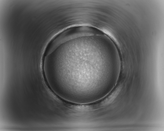 X0000088740797200705311446