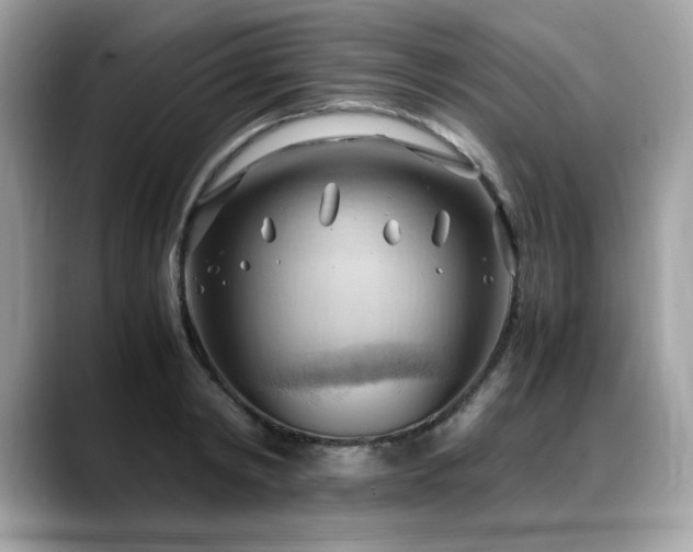 X0000088740798200705311446