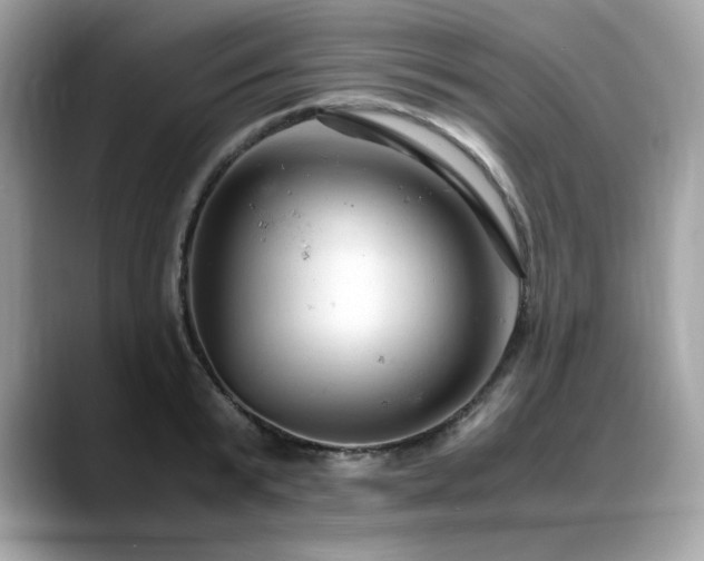 X0000088740799200705311446