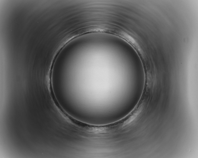 X0000088740802200705311446