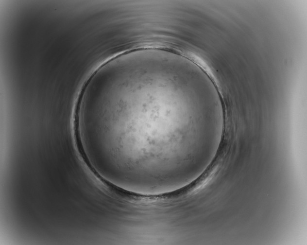 X0000088740803200705311446