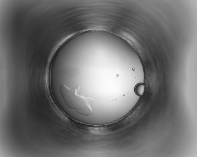 X0000088740804200705311446