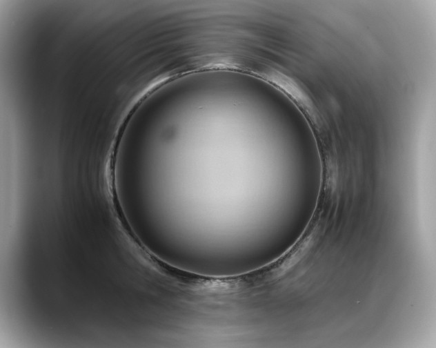 X0000088740806200705311446