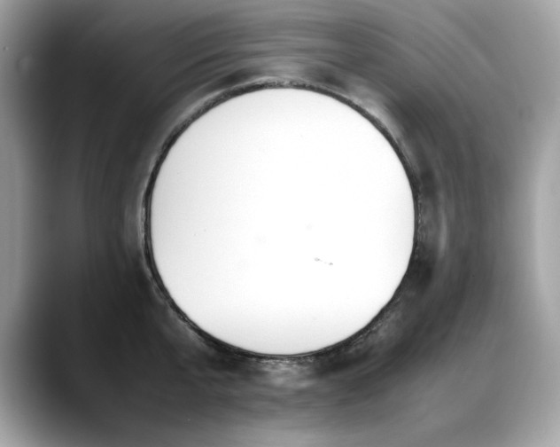 X0000088740807200705311446