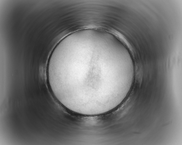 X0000088740810200705311446