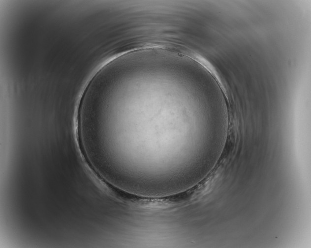 X0000088740811200705311446