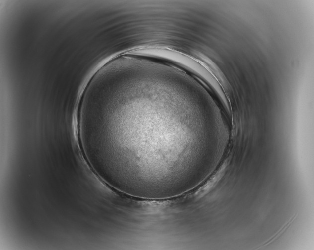 X0000088740812200705311446