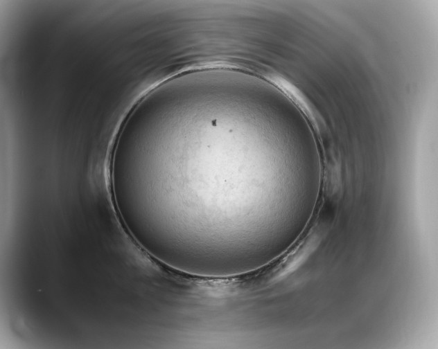 X0000088740813200705311446