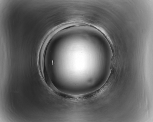 X0000088740815200705311446