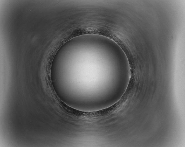 X0000088740817200705311445