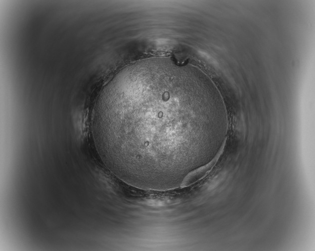 X0000088740818200705311445