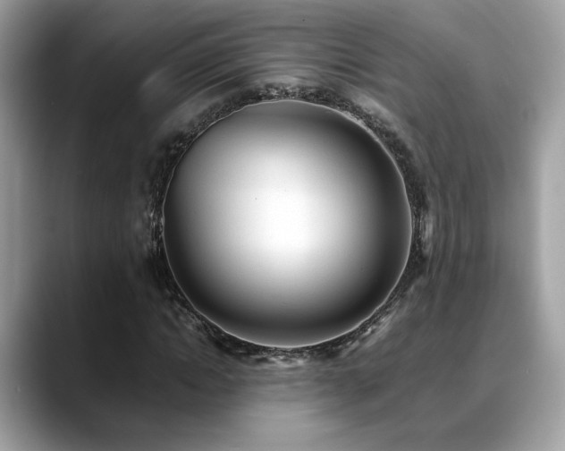 X0000088740822200705311446