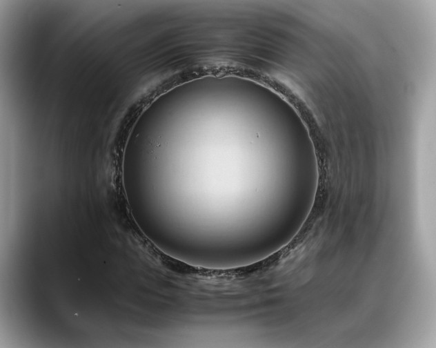 X0000088740823200705311446