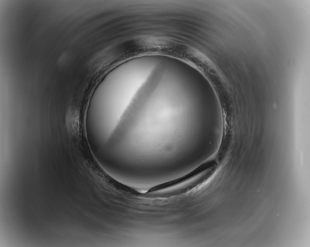 X0000088740825200705311446
