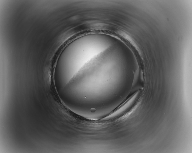 X0000088740829200705311446