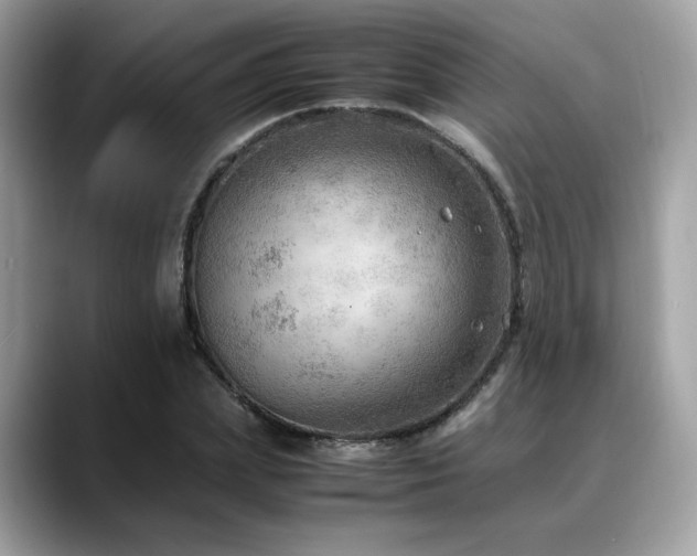 X0000088740831200705311446
