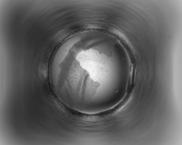 X0000088740833200705311446