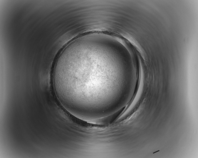 X0000088740834200705311446
