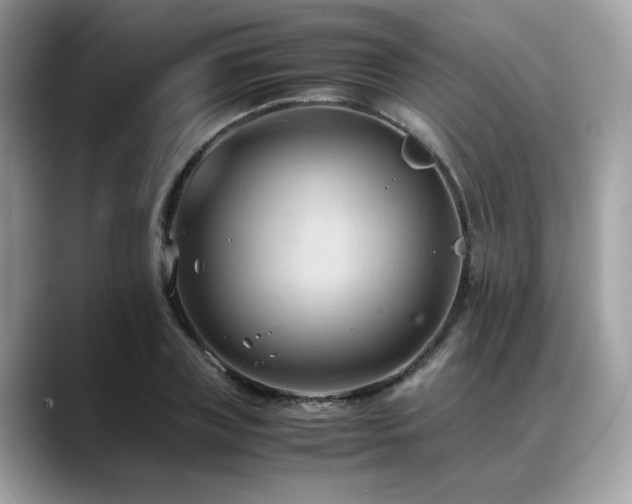 X0000088740835200705311446