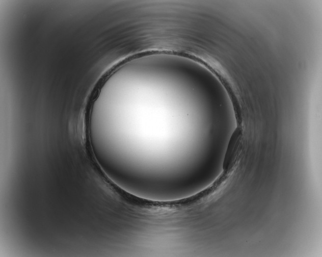 X0000088740838200705311446