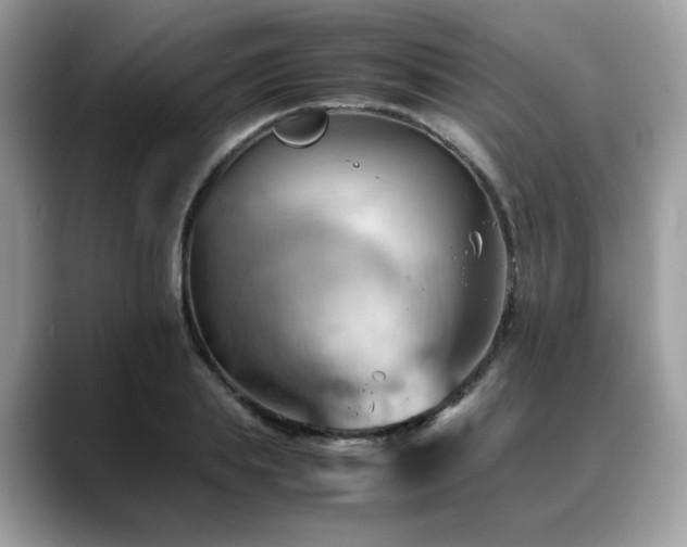 X0000088740839200705311446