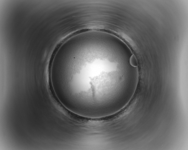 X0000088740840200705311446