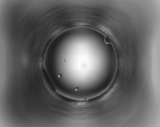X0000088740841200705311446