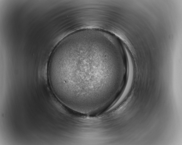 X0000088740842200705311446