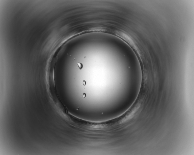 X0000088740843200705311446