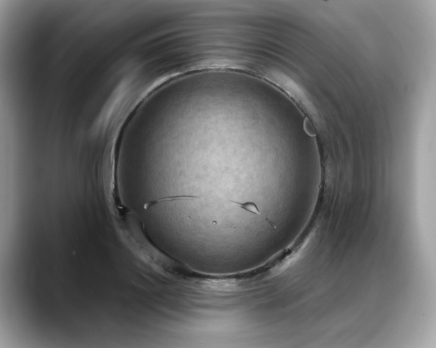 X0000088740844200705311446