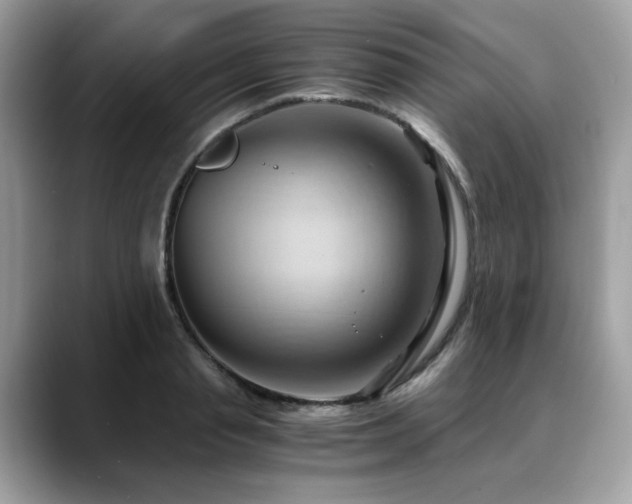 X0000088740845200705311446