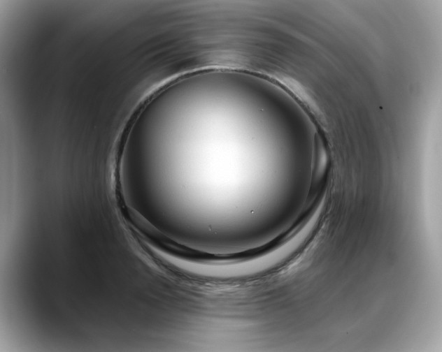 X0000088740846200705311446
