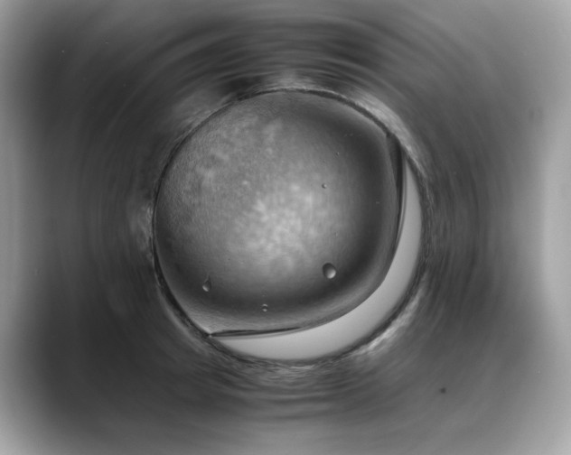 X0000088740849200705311446