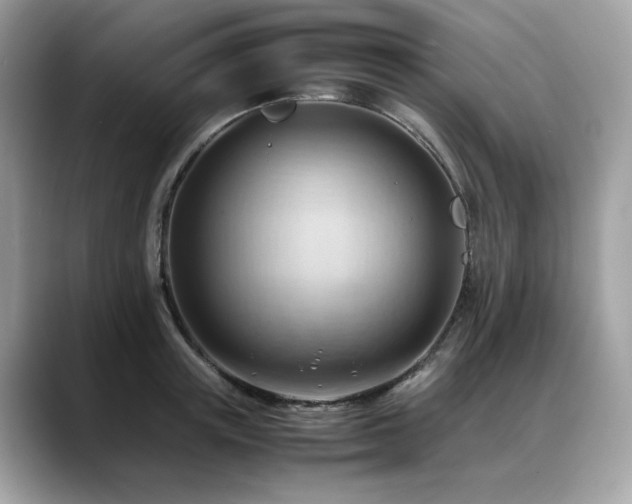 X0000088740851200705311446