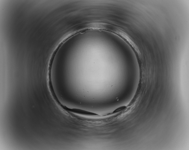 X0000088740853200705311446