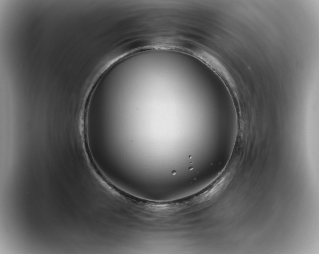 X0000088740855200705311446