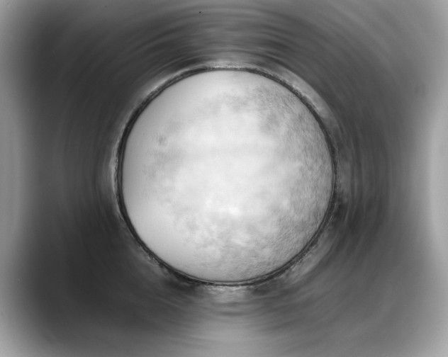 X0000088740856200705311446