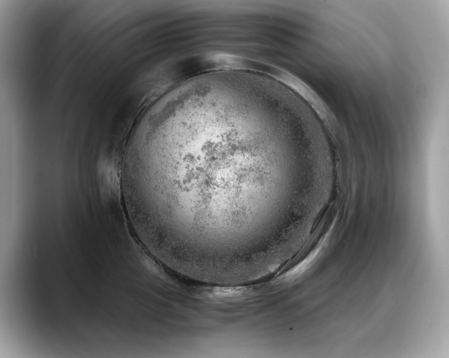 X0000088740857200705311446