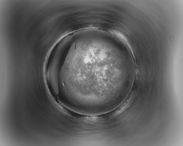 X0000088740859200705311446