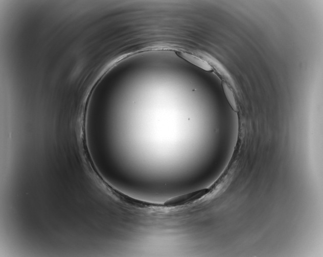 X0000088740860200705311446
