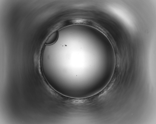 X0000088740861200705311446